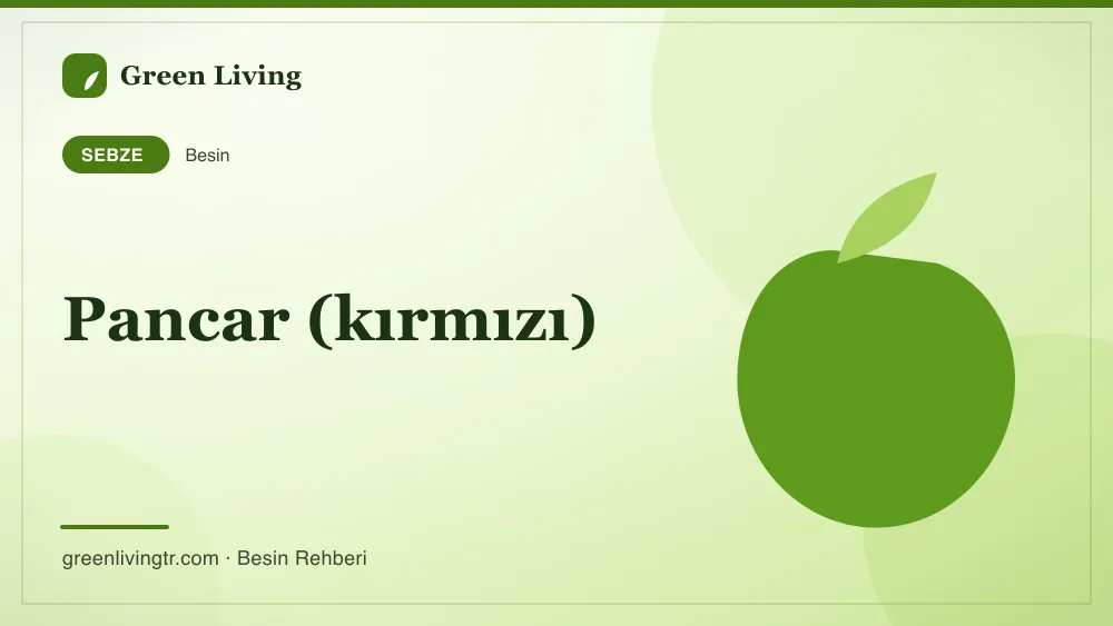 Pancar (kırmızı) — sebze