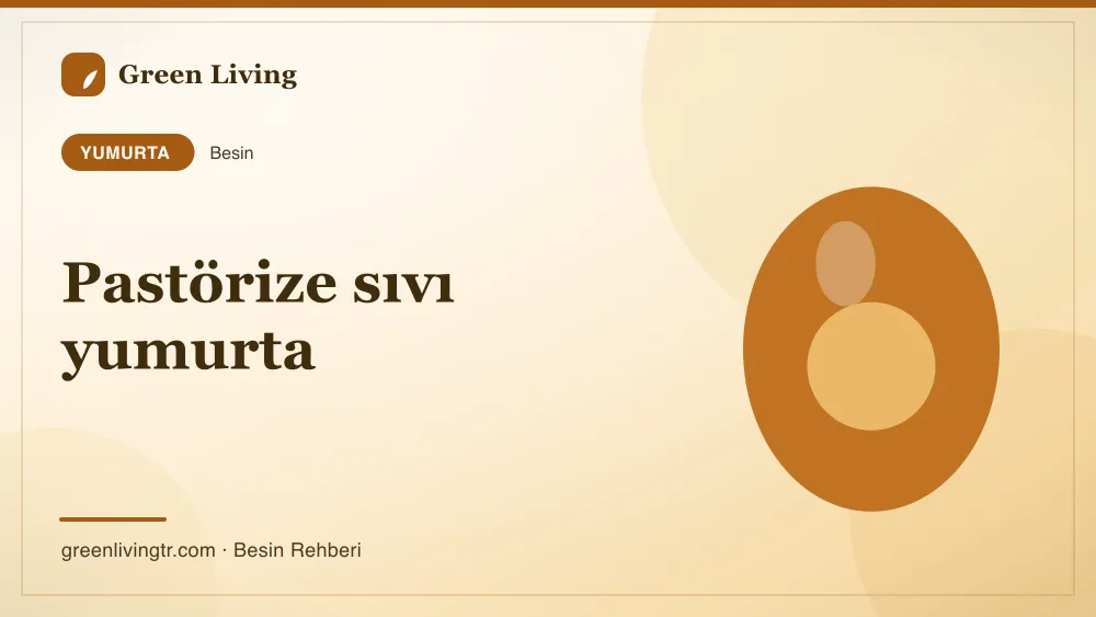 Pastörize sıvı yumurta — yumurta