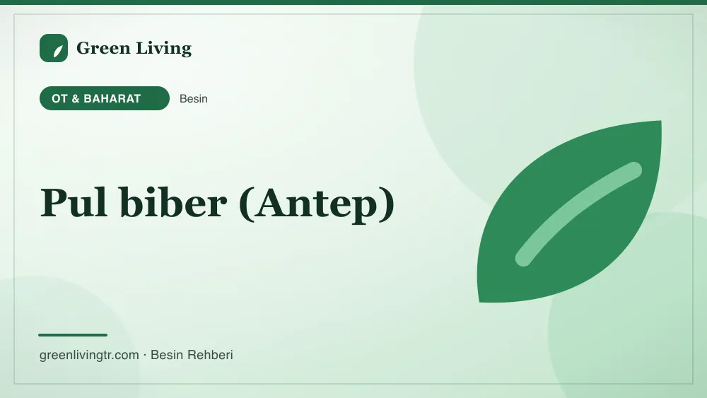 Pul biber (Antep) — ot & baharat