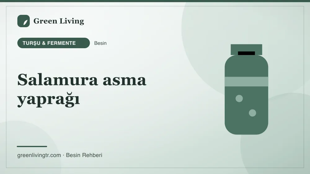 Salamura asma yaprağı — turşu & fermente