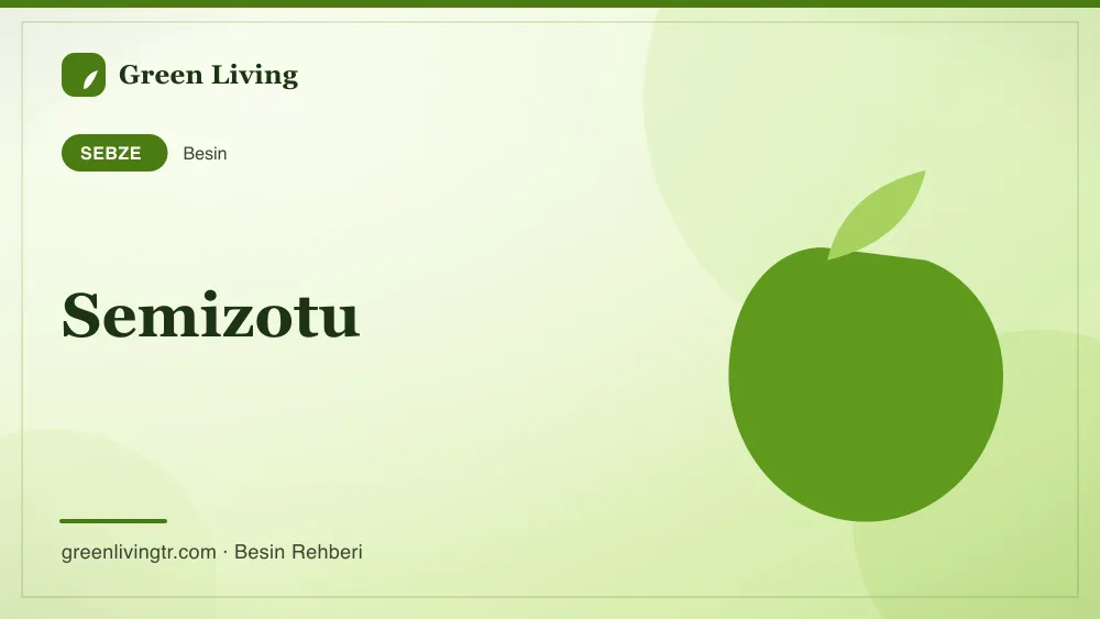 Semizotu — sebze