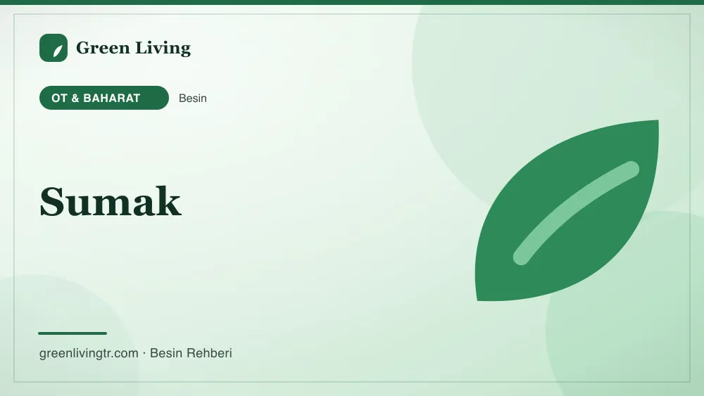 Sumak — ot & baharat