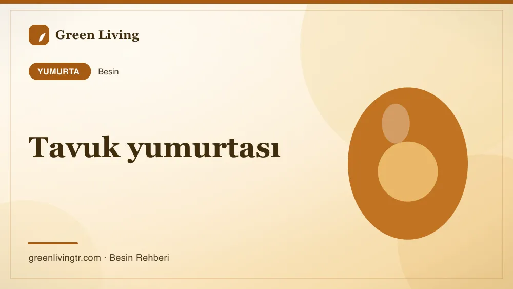 Tavuk yumurtası — yumurta