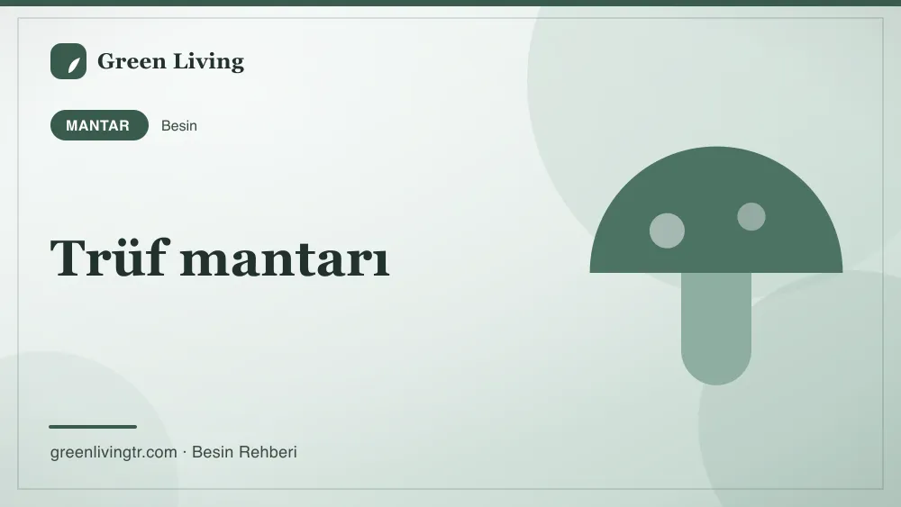 Trüf mantarı — mantar