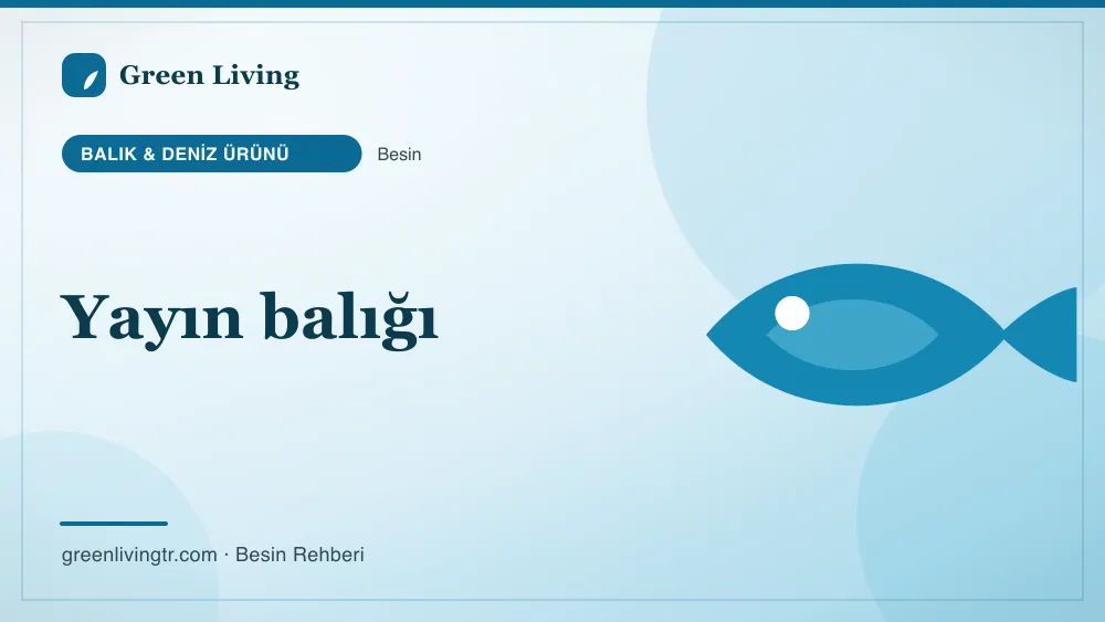 Yayın balığı — balık & deniz ürünü