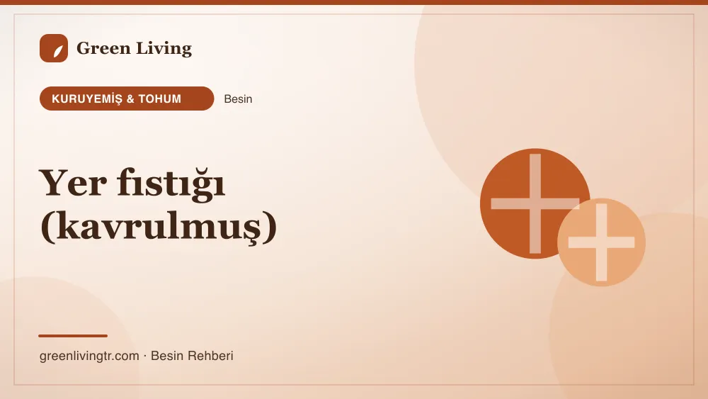 Yer fıstığı (kavrulmuş) — kuruyemiş & tohum