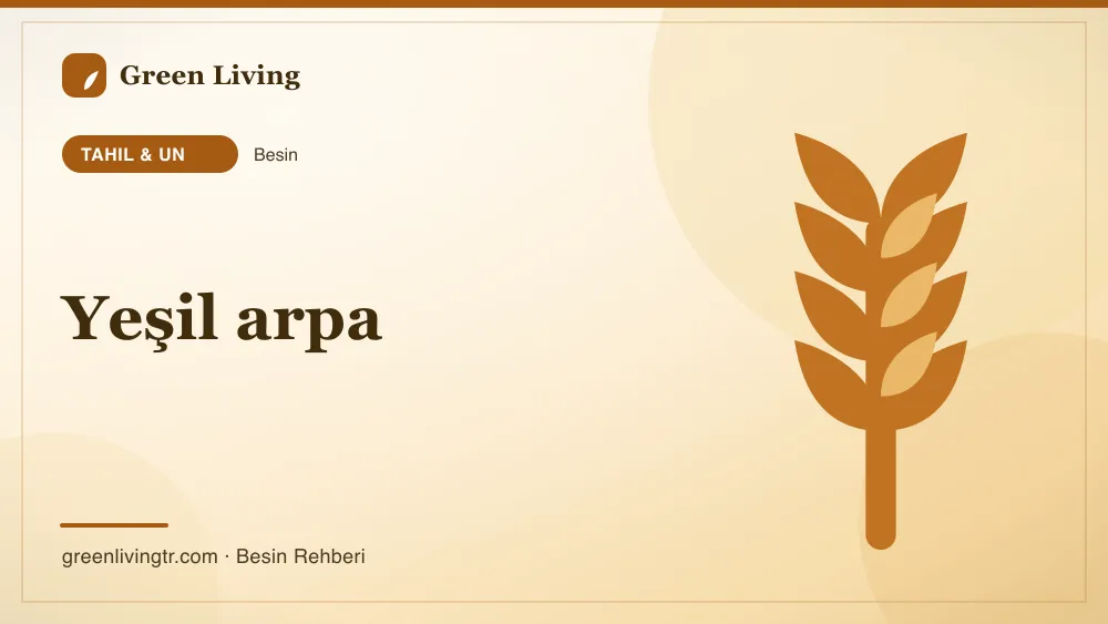 Yeşil arpa — tahıl & un
