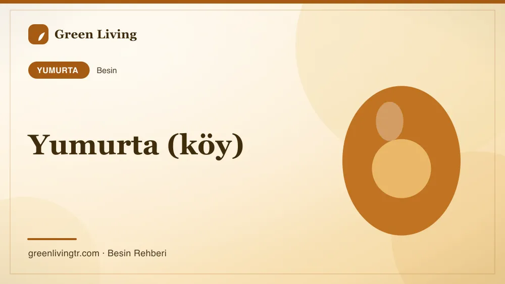 Yumurta (köy) — yumurta