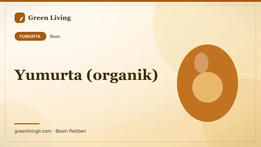 Yumurta (organik) — yumurta