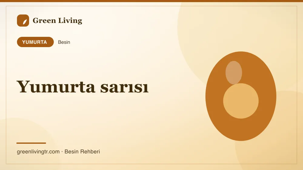 Yumurta sarısı — yumurta
