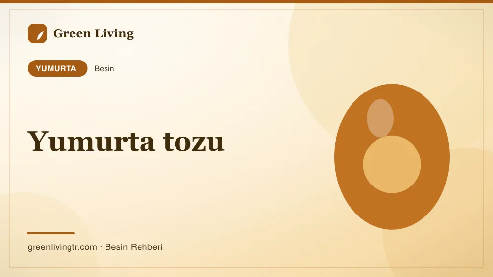 Yumurta tozu — yumurta